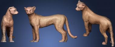 3D model Cheetah (STL)